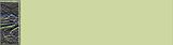 Art Deco Left Border.jpg